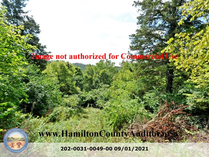 Photo 09/01/2021